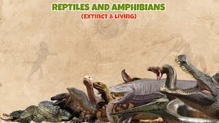 REPTILES AND AMPHIBIANS  Extinct and living comparison 05 [upl. by Yaral44]