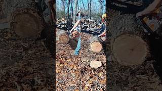 Stihl ms500i vs husky 572xp shorts outdoors firewood stihl chainsaw husqvarna diy racing [upl. by Valma]