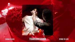 Kodak Black  Transgression Official Audio [upl. by Erbua]