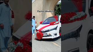 Wedding Season Pashto Song November 24 2024 wedding love pashtomusic weddingday [upl. by Anemolihp]