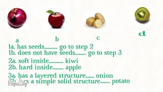 What is a dichotomous key EMS [upl. by Annez363]