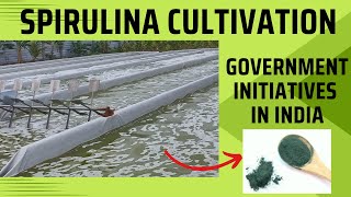 SPIRULINA CULTIVATIONINDIAN GOVERNMENT INITIATIVES TO PROMOTE SPIRULINA CULTIVATION amp CONSUMPTION [upl. by Amice972]