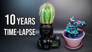 Amazing 10 Years of Plant Growing Timelapse Compilation [upl. by Reteip]