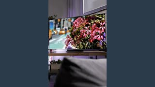 Samsung SNinetyC 65 inch 4K OLED TV Review  Is It Worth It [upl. by Elnore955]