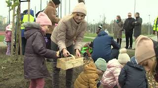 TV ASTA żonkile dla hospicjum [upl. by Annaiek]