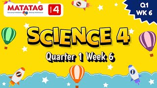 MATATAG Science 4 Quarter 1 Week 6 [upl. by Cilurzo]