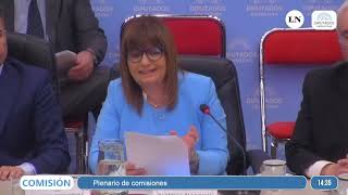 Patricia Bullrich defendiendo la Ley Ómnibus frente a los diputados [upl. by Stratton]