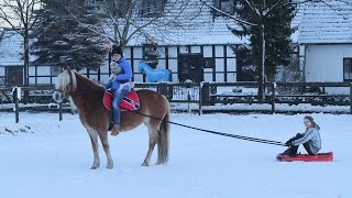 Schlittenfahren mit Pferd im Schnee  STURZ vom Schlitten D [upl. by Osbert]