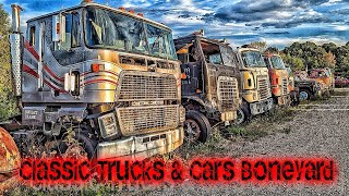 Tackaberry Classic Trucks Boneyard Exploration [upl. by Ahcarb735]