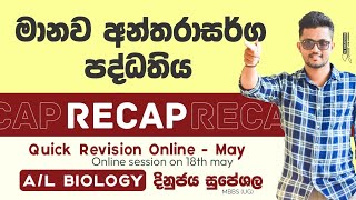 අන්තරාසර්ග පද්ධතිය  Endocrine system  Hormones  හෝමෝන RECAP advancedlevel biology paperclass [upl. by Lodge91]