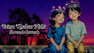 Tainu khabar nahi slowed and Reverb logi song [upl. by Nestor356]