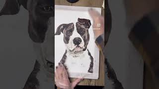 Sealing a watercolor pet portrait with Dorland’s Wax Medium [upl. by Nostets]