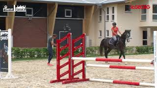 Training des jungen Springpferdes mit Christian Kukuk [upl. by Leirud]