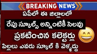 రేపు ఈ జిల్లాల్లో స్కూల్స్ కి సెలవు ప్రకటించిన కలెక్టర్లుap rains Holidays17th holiday in ap [upl. by Konstanze550]