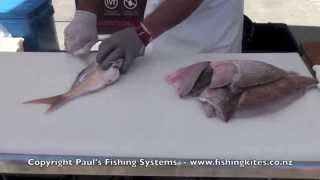 Cleaning Fish Filleting Boning and Skinning Average Sized Snapper and Bream [upl. by Brenk]