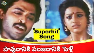 PAVURANIKI PANJARANIKI VENKATESH SUPERHIT VIDEO SONG  CHANTI MOVIE  MEENA  SP BALASUBRAHMANYAM [upl. by Brathwaite744]