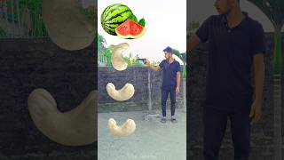 Rounding cashew nut to Grapes Mango lichi amp Watermelon  Fruits names magic video [upl. by Schlessinger]