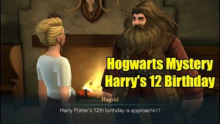 Beyond Hogwarts Harrys 12 Birthday Hogwarts Mystery [upl. by Katherina279]