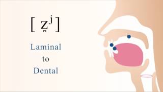 z̪ʲ  voiced palatalized laminal dental sibilant fricative [upl. by Queri]