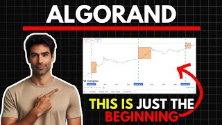 Algorand Latest News Today Technical Analysis amp Algorand Price Prediction 20242025 [upl. by Fleeman]