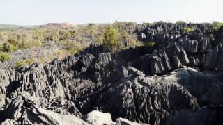 Hiking Tsingy de Bemaraha National Park Madagascar [upl. by Pohsib431]