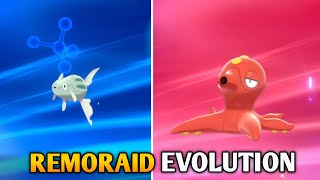 How To Evolve Remoraid Into Octillery In Pokemon Sword amp Shield  Galar Pokedex [upl. by Charron45]