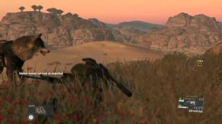 MGS V TPP  Mission 3  Pick a haoma in the desert between Shago Village and Spugmay Keep [upl. by Martres180]