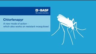 Chlorfenapyr – a new approach against resistant mosquitoes [upl. by Nnylatsyrk]