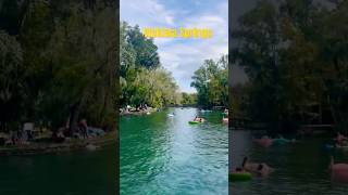 Wekiwa Springs State Park relaxing nature shorts travel [upl. by Ardnwahs]