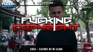 NightCore  Cachos de mi Alma Soge Culebra  FuckingCopyright™ [upl. by Eerol]