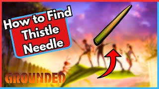 How to Find Thistle Needle in Grounded [upl. by Lemon460]