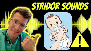 Doctor explains Stridor with real examples of sounds plus causes treatment and warning signs [upl. by Aydan]