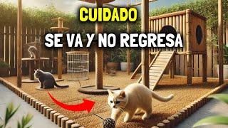 Cómo EVITAR que tu gato SE ESCAPE DEL JARDÍN [upl. by Lepper427]