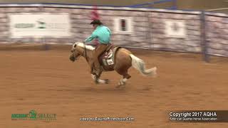 2017 AQHA Select Reining World Champion [upl. by Tiena50]