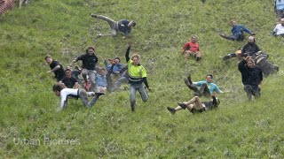 Thrills and spills during Cheese Rolling contest 2024 in the UK [upl. by Ennyleuqcaj]