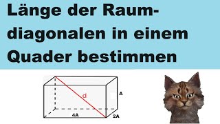 Länge der Raumdiagonalen in einem Quader bestimmen mit Buchstaben [upl. by Risteau]