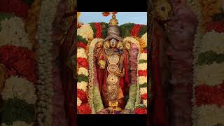 Adivo alladivo sriharivaasamu song annamayya keerthana lordvenkateswara devotional [upl. by Eilrac]