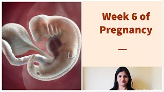 Week 6 of Pregnancy  Weekly Pregnancy Tips and Updates in Kannada [upl. by Ythomit]