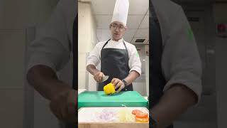 Abhishek Baghel  Culinary Arts  USA  J1  2024 [upl. by Vidda880]