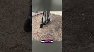 The Ninebot Segway Max G30 Review  Premium Electric Scooter Breakdown [upl. by Adilen330]