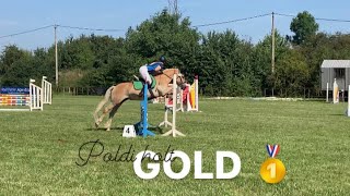 POLDI holt GOLD I Turnier Donndorf [upl. by Rebme]