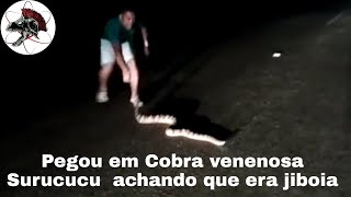 Confundiu Cobra Surucucu com Jiboia 1  Biólogo Henrique o Biólogo das Cobras [upl. by Proudfoot]