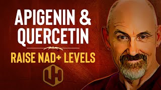 RAISE NAD WITH APIGENIN amp QUERCETIN Reduce CD38 To Boost NAD Levels 2021 [upl. by Lunn226]