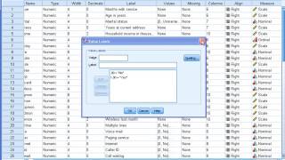 SPSS Training on Analyzing Nominal and Ordinal Data [upl. by Jasmina]