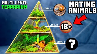 I made a multi level terrarium with 3 different animal species [upl. by Llemert]