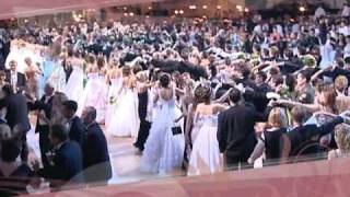 Венский Бал Vienna Ball Wiener [upl. by Kcirre]