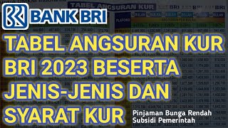 Tabel Angsuran KUR BRI 2023 Beserta Jenisjenis Dan Syarat Pengajuan KUR  Pinjaman BRI Bunga Rendah [upl. by Dnaletak]