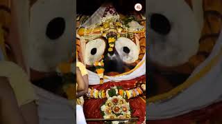 jaysriram jagannathtemple jayjagannathpuri vairalvideo vajanam khushi [upl. by Elbertine]