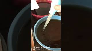 Betta fry Live food InfusoriaInfusoria Culture￼ [upl. by Lawtun481]