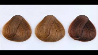 What Are Different Shades Of Mocha Hair Color [upl. by Egroej]